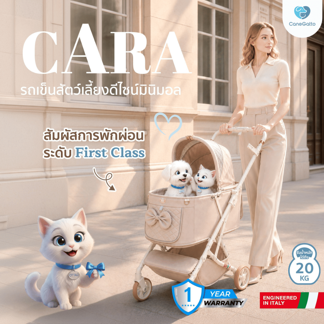 รถเข็นสัตว์เลี้ยง พับอัตโนมัติ CANEGATTO รุ่น CARA - SAND BEIGE_1